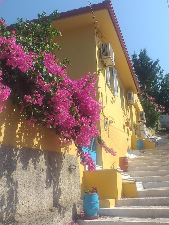 Villa Eleni バティ エクステリア 写真